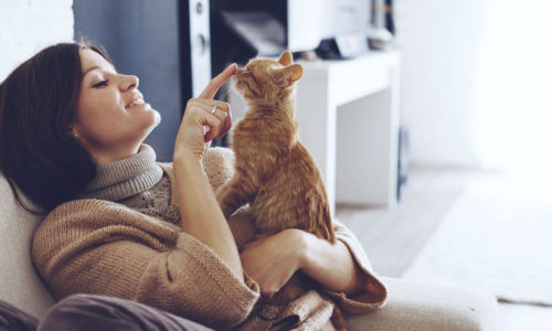 Keeping Your Pets Safe From Illness