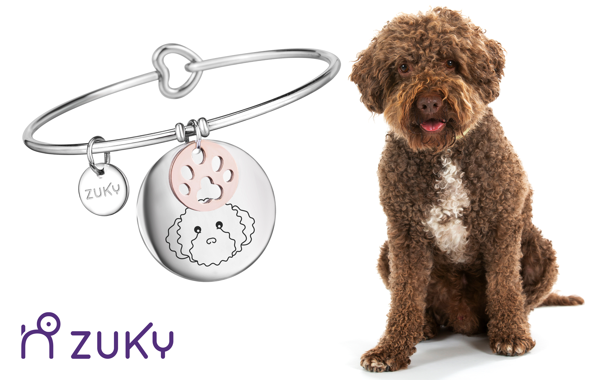 Lagotto